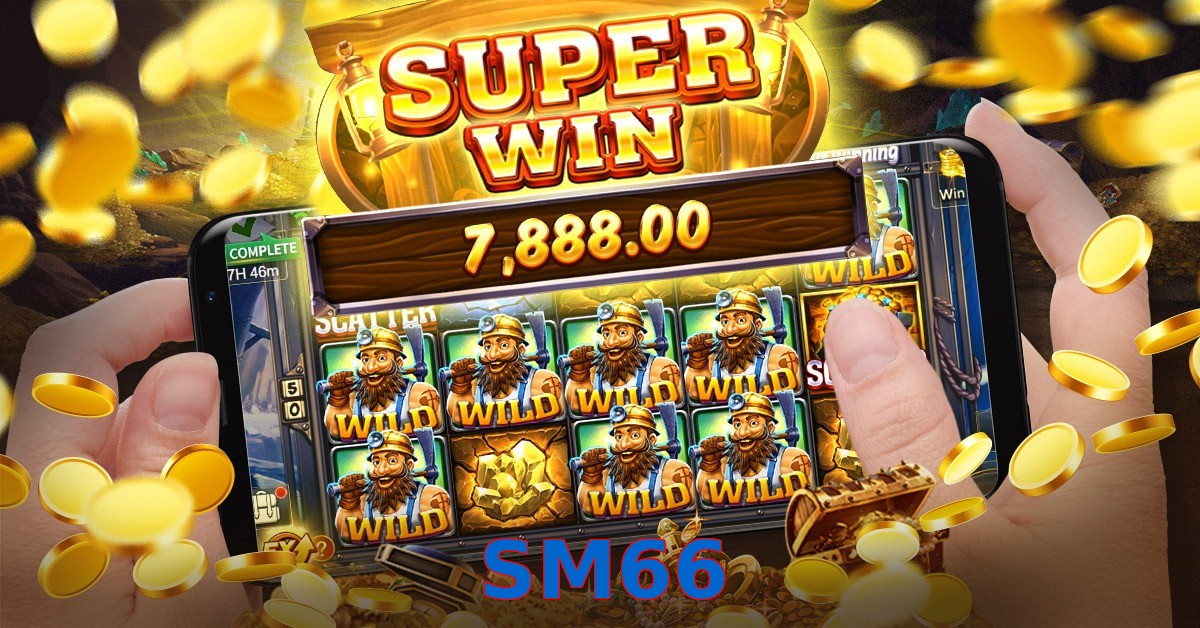 SM66