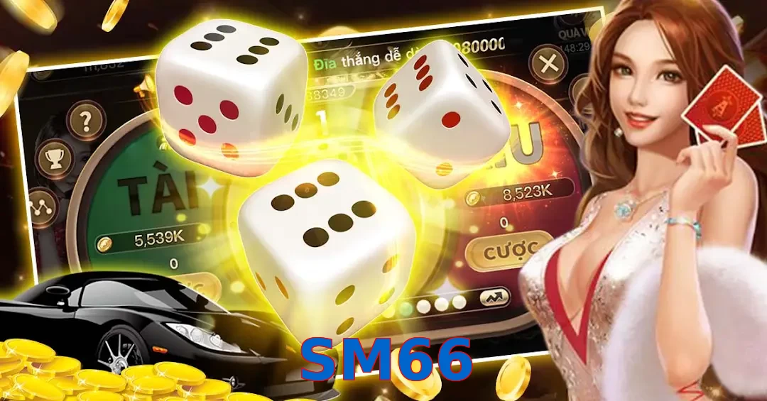 SM66